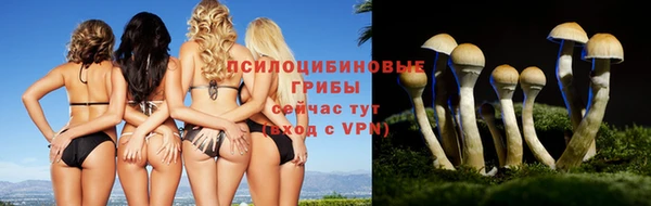 амф Армянск