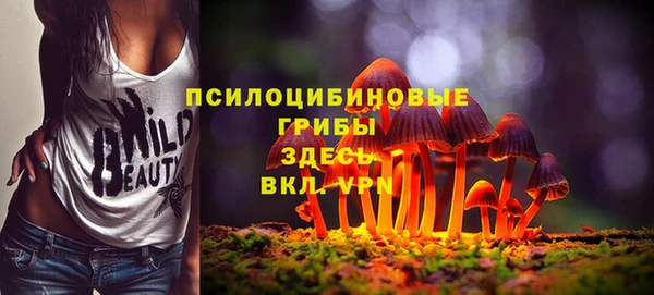 а пвп мука Осташков
